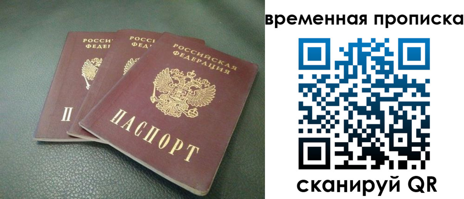 прописка гарантия в Тульской области